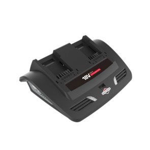 Briggs & Stratton 18V Twin Charger - Black