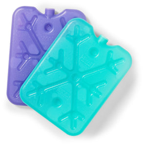 Decor Icewall Lunchbox Icepack Small 2pk - Assorted*