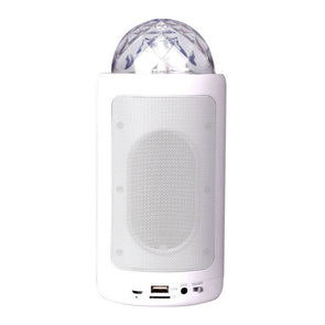 PORTABLE BLUETOOTH LED SPEAKER/FM RADIO/10M/MICROPHONE/USB/Micro SD/AUX WHITE - TheITmart